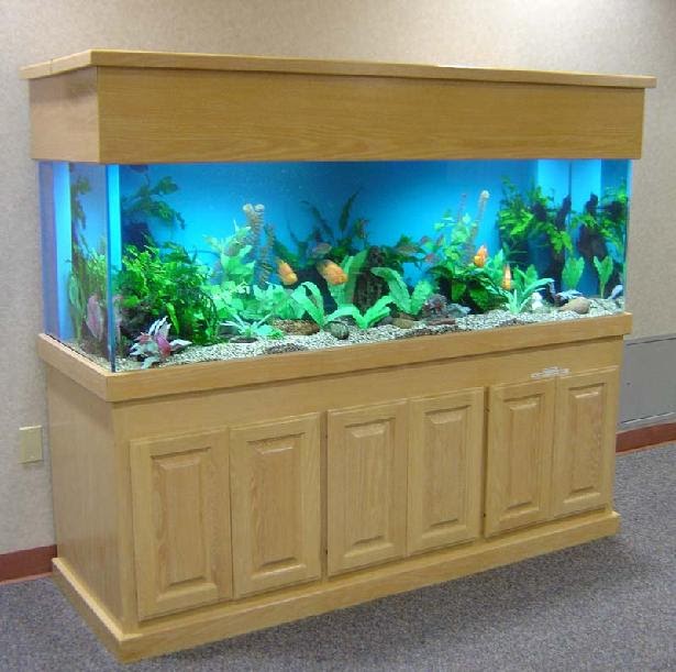 Marine Aquariums Aquarium Design With Wood Stand