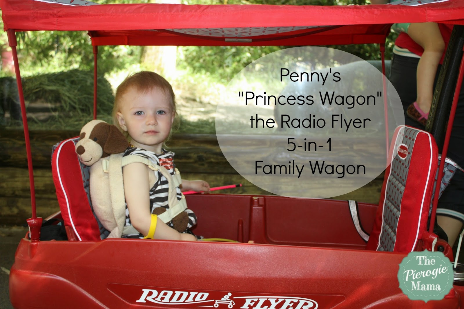 the pierogie mama mothers day radioflyer ultimate family wagon radio flyer ultimate ez fold wagon