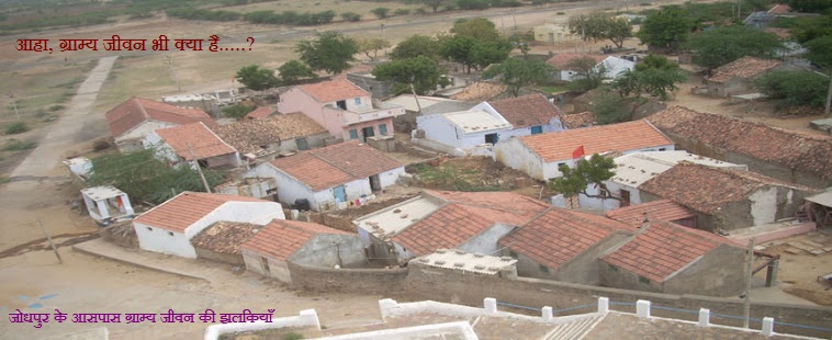 Village Cot Surfing