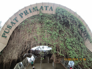 "Schmutzer Primate Centre" in Ragunan zoo of Jakarta.