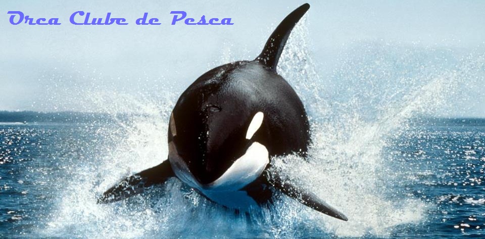 Orca Clube de Pesca