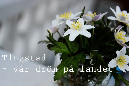 Tingstad - vår dröm på landet