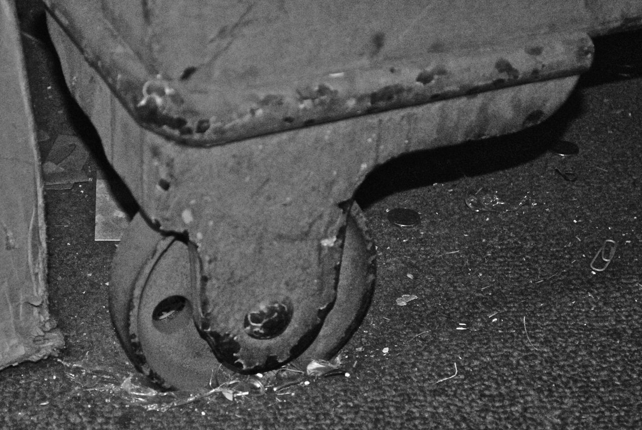 Eagle Rock Daily Photo July 2011