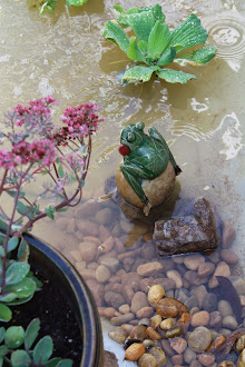 Our pond - click on image to see the transformation