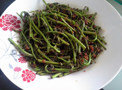 Tertunailah Hasrat Di Hati Resepi Sayur Pucuk Paku Goreng