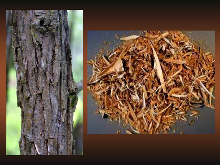 Remedios caseros para combatir la caspa Viviangilro