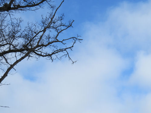 blue sky