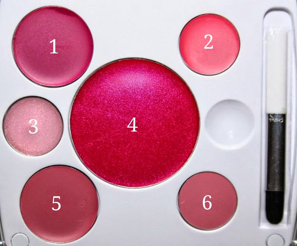 EM Cosmetics Shade Play Lip Color Mixing Palette Review