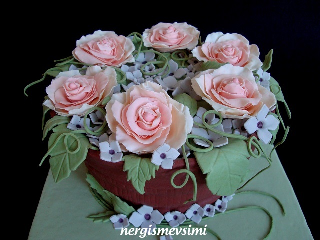 nergismevsimi SAKSI PASTA