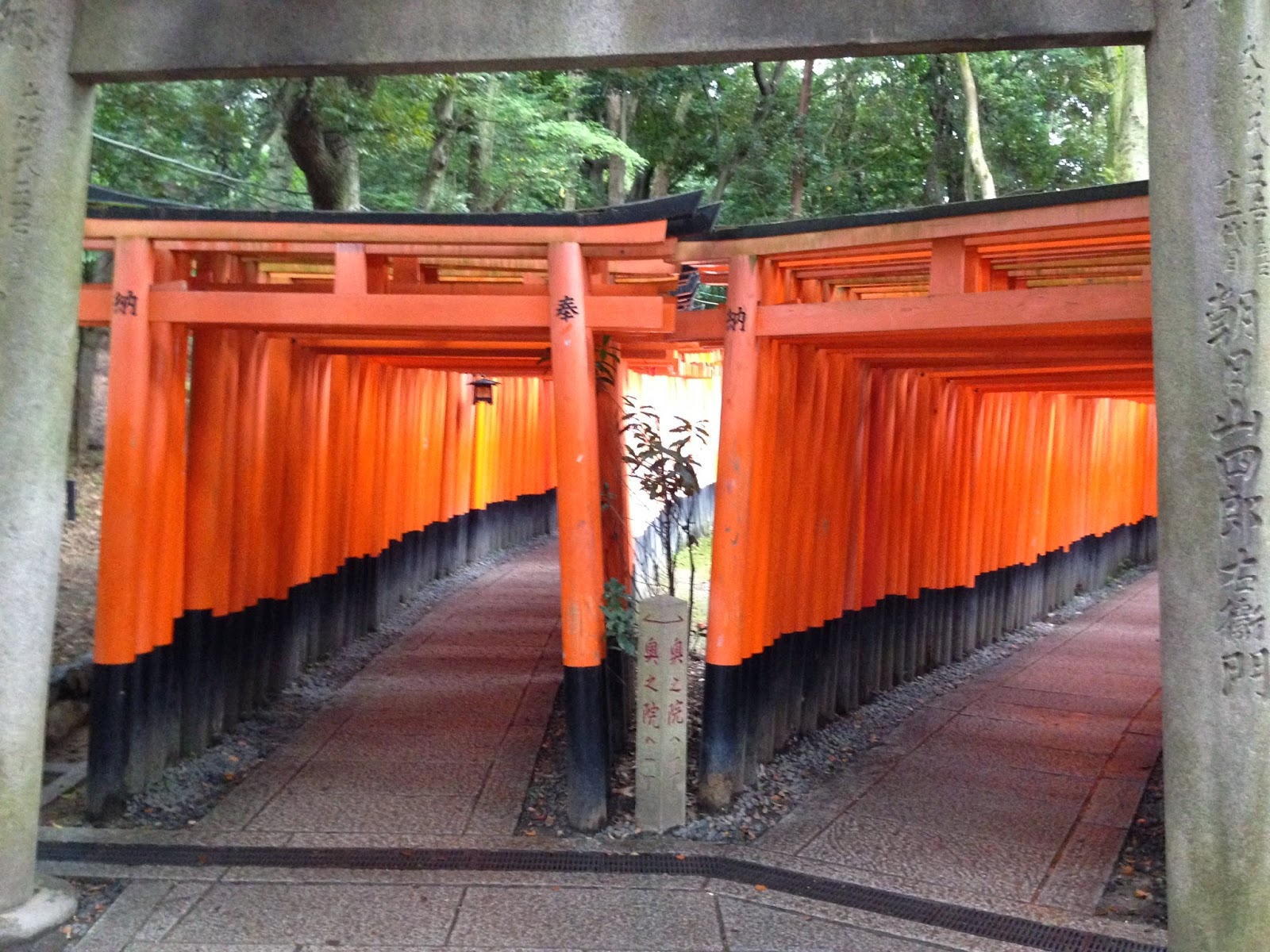 日本打工度假畢業生derek