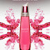 NUVO Sparkling Liqueur Brand Ambassador Search