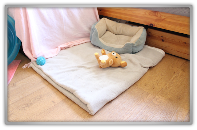 Jofee meets Rilakkuma maltese dog puppy cute kawaii kawai japan relax bear killer youtube video plush Jofee meets Rilakkuma maltese dog puppy cute kawaii kawai japan relax bear killer youtube video plush