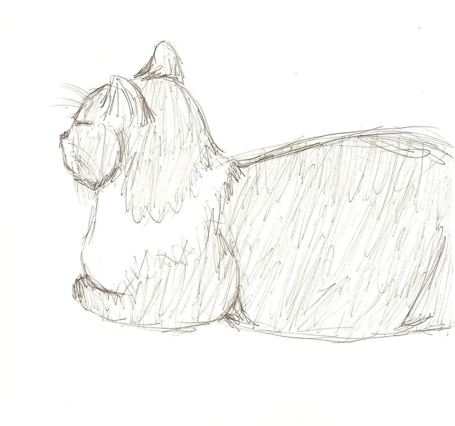 Gingerly 30 Day Drawing Challenge 2,3, and 4