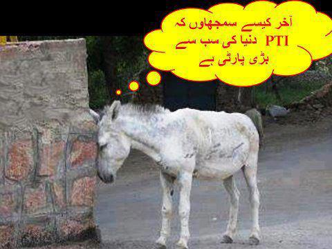 Funny photo of Pakistan politicion: pti funny