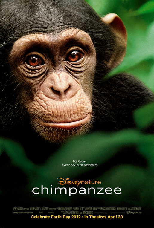 I Love Chimpanzees