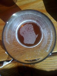 Map of Wisconsin appears in foam on beer