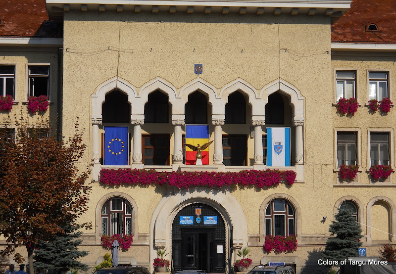 Ghirlandele de flori de pe fatada Primariei Tirgu Mures