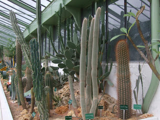 Jardin des Plantes