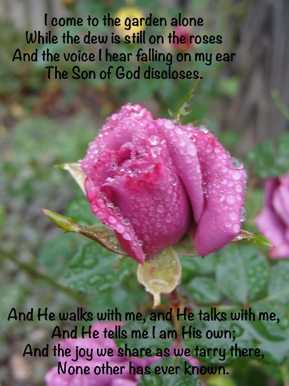 Kristi's Korner: In The Garden