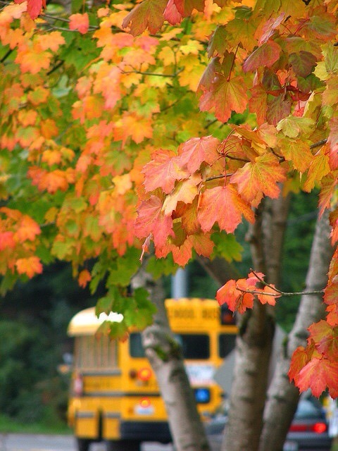 School bus in the Fall