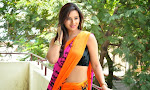 Isha Chawla latest glam pics in saree-thumbnail