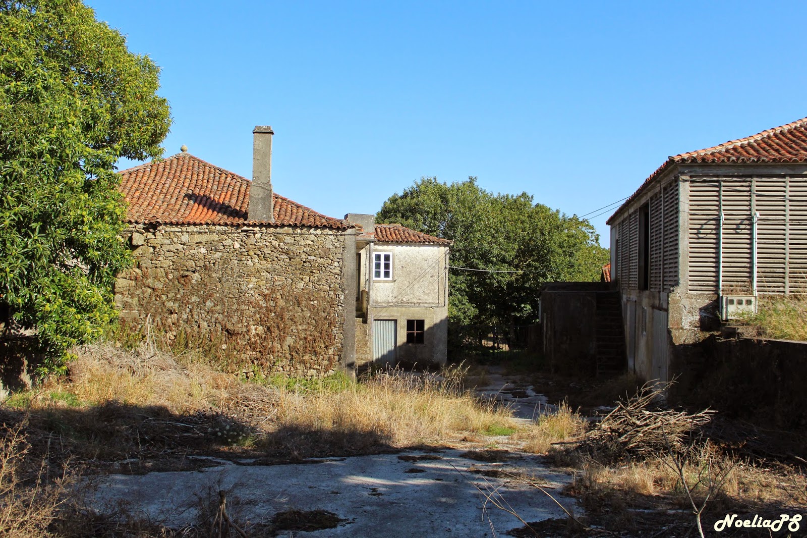 Abandonado, olvidado y en ruinas...: LA GRANJA VIVIENDA