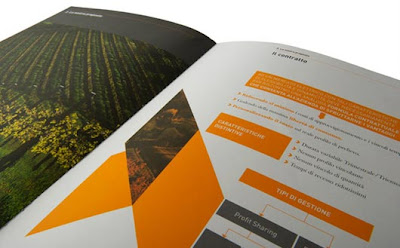 Company Profile Design Company Profile