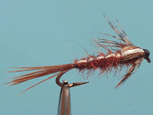Isonychia nymph Indonesia Fly Fishing Indonesia Fly Tying