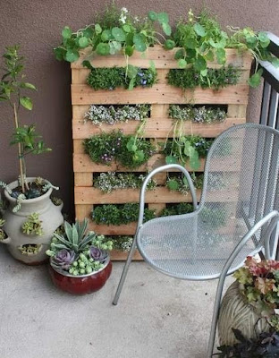 patio gardening ideas
