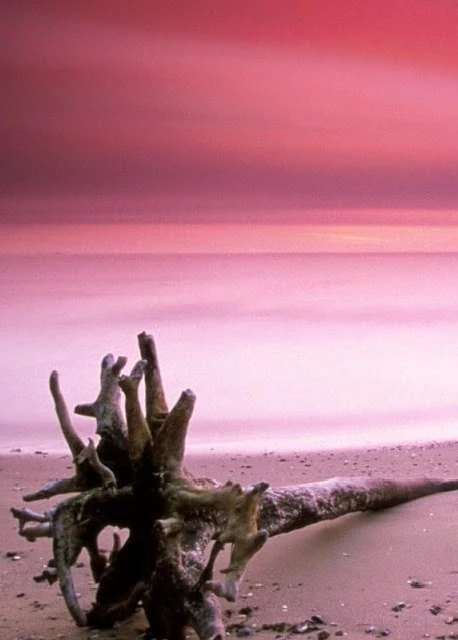 Pink Sands Beach, Bahamas: