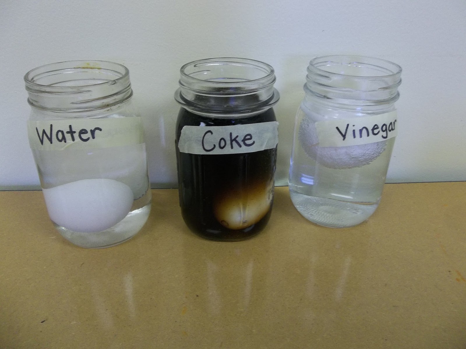 ELC Preschool Preschool in November!