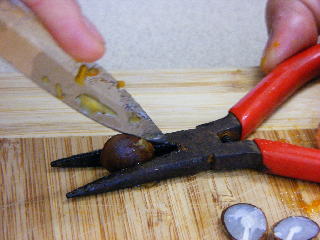 William L Brown Center Persimmon Seed Predictions