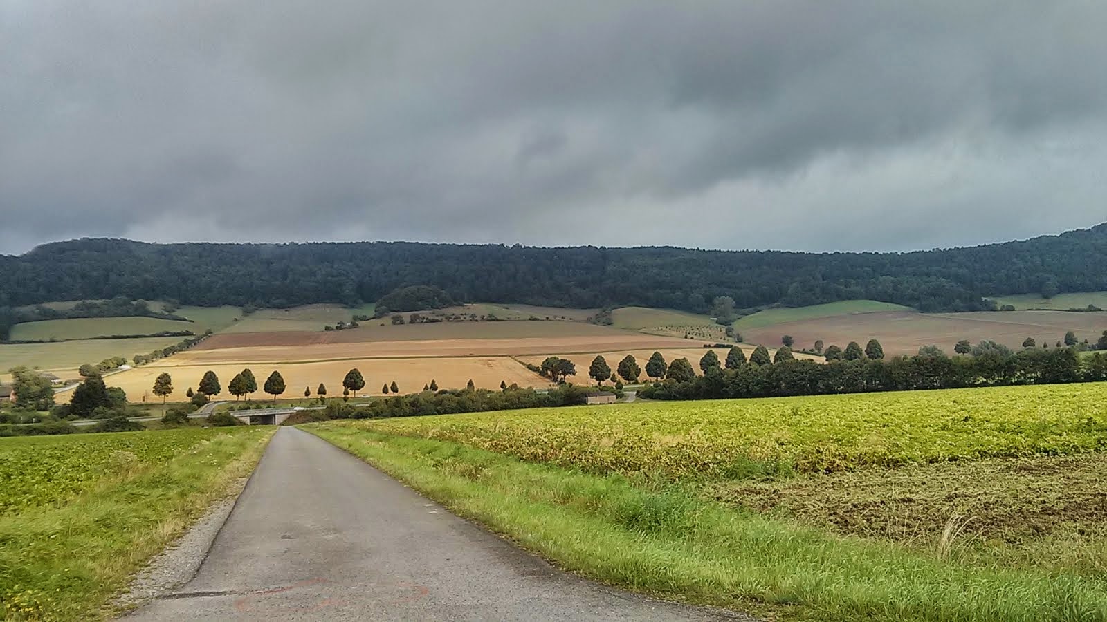 Briloner Anzeiger Ausgabe Vom 11 07 2019 Nr 26 By Brilon