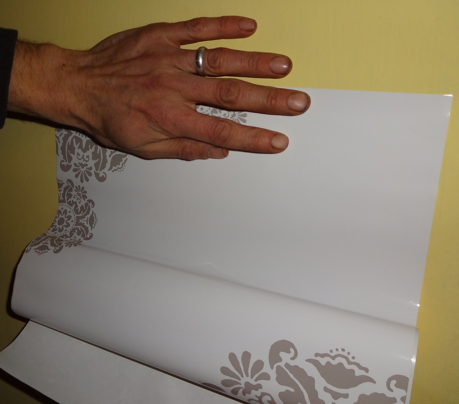 My Empty Nest Wall Pops