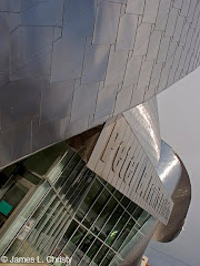 Peter B. Lewis Building; Cleveland - Gehry