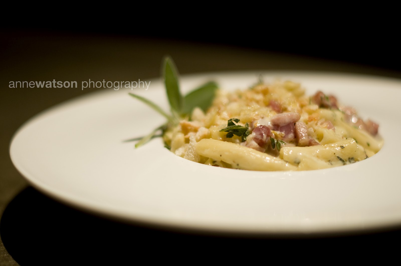 Anne Watson Photo Blog THE CELLAR RESTAURANT, WINE BAR & CHEESE SHOP