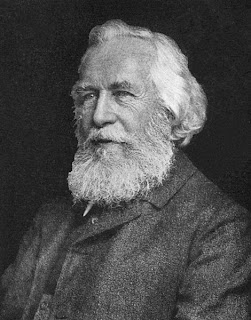 470px-Ernst_Haeckel_5.jpg