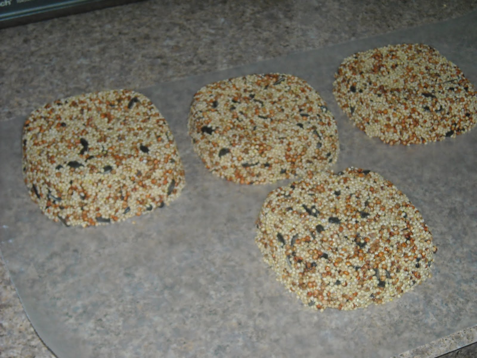 A Succulent Life! Bird seed cake tutorial