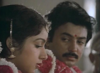 Chinna Chinna Vanna Kuyil - Mouna Raagam