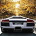 Lamborghini Murcielago in Autumn / Gran Turismo 5 wallpaper