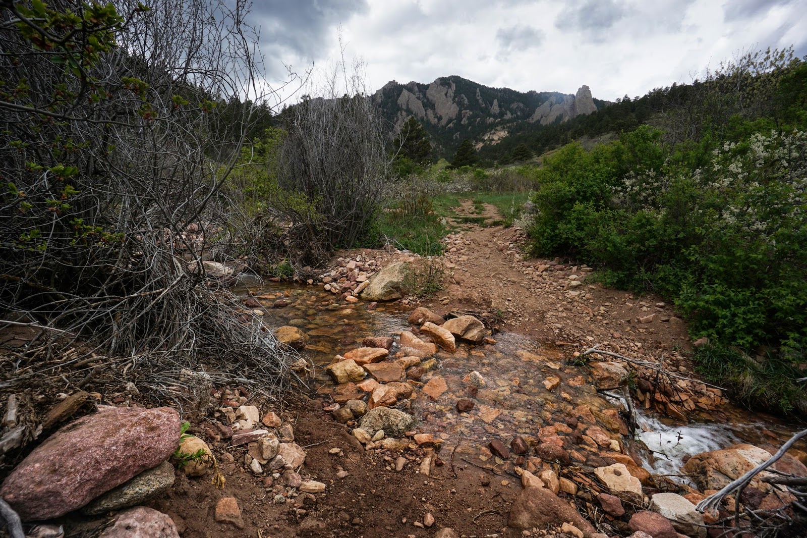 Go Hike Colorado Skunk Canyon > Kohler Mesa Loop, Boulder Mountain Park