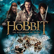 The Hobbit The Desolation of Smaug-Official Trailer HD