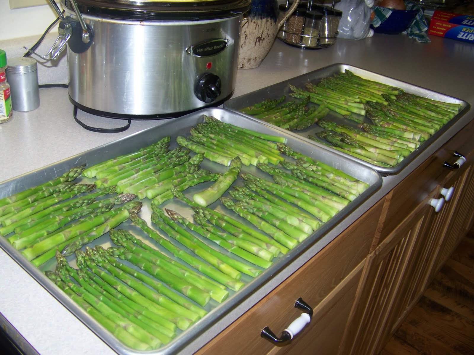 Hickery Holler Farm Canning Asparagus