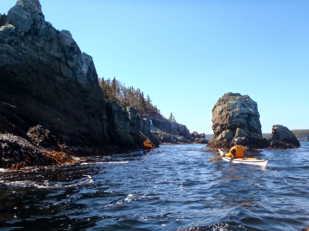 My Newfoundland Kayak Experience Post script Cape Broyle