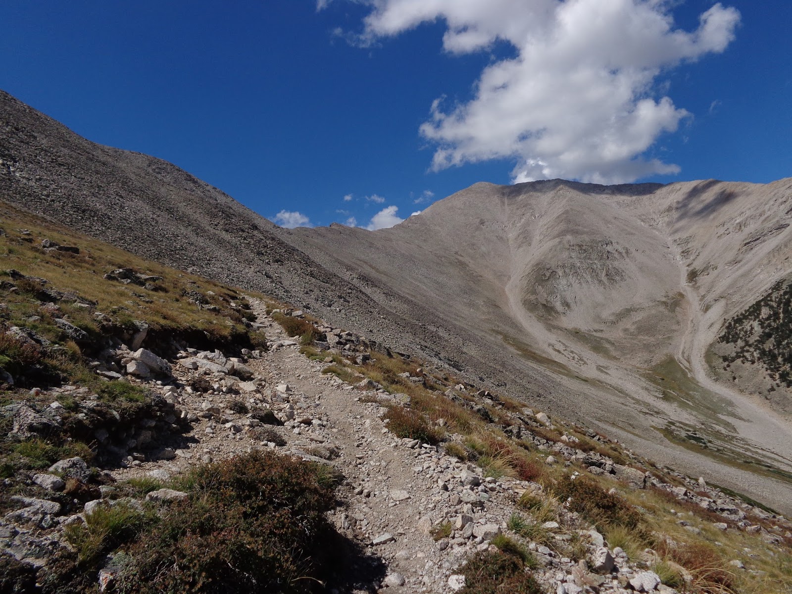 Front Range Rambler Mt. Princeton Duathlon Mountain Biking the Colorado Trail