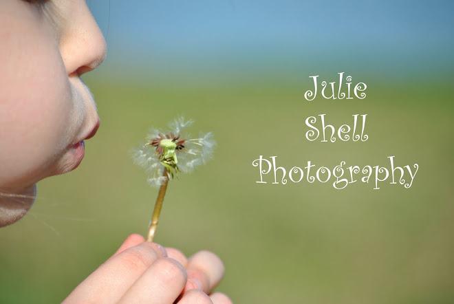 Julie Shell Photography