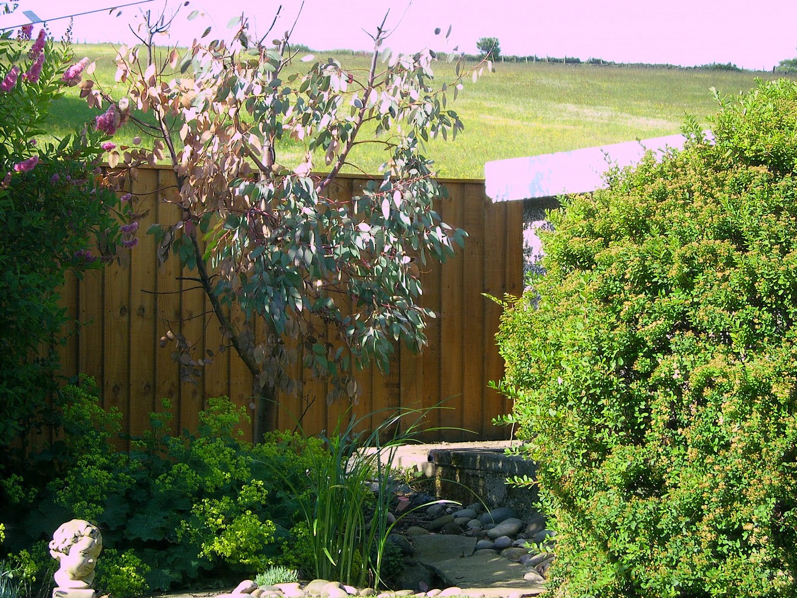 billatbingley - Random Jottings: June 2011