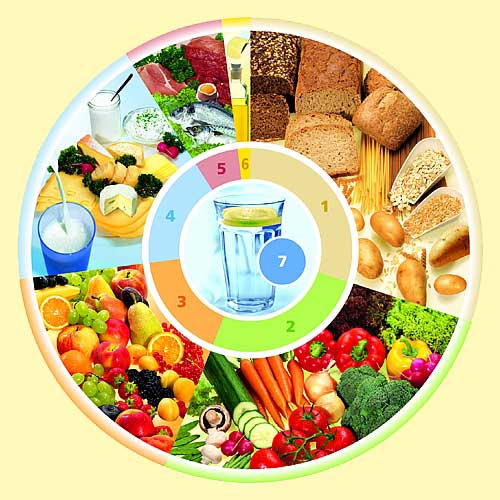 Presenta blisters alimentos quema grasas abdomen ocasionado ningn alimentos quema grasas abdomen