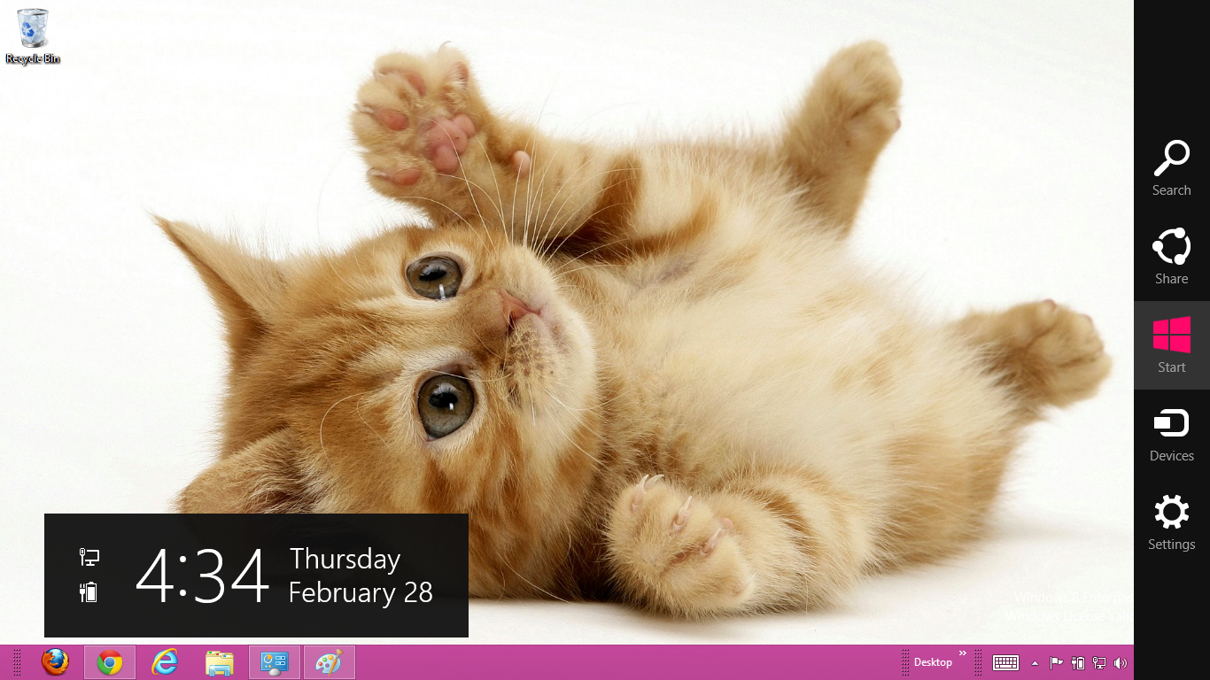Cute cat themes for windows 7