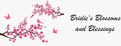 Bridie's Blossoms and Blessings